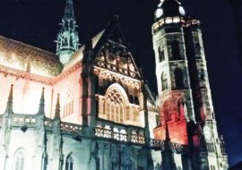 ΑΡΓΙΕΣ ΧΡΙΣΤΟΥΓΕΝΝΩΝ ΣΤΗΝ TOMI SCHOOL